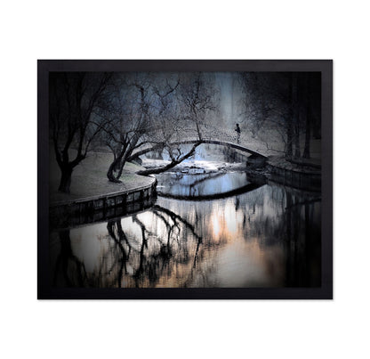 Central Park Winter Bridge