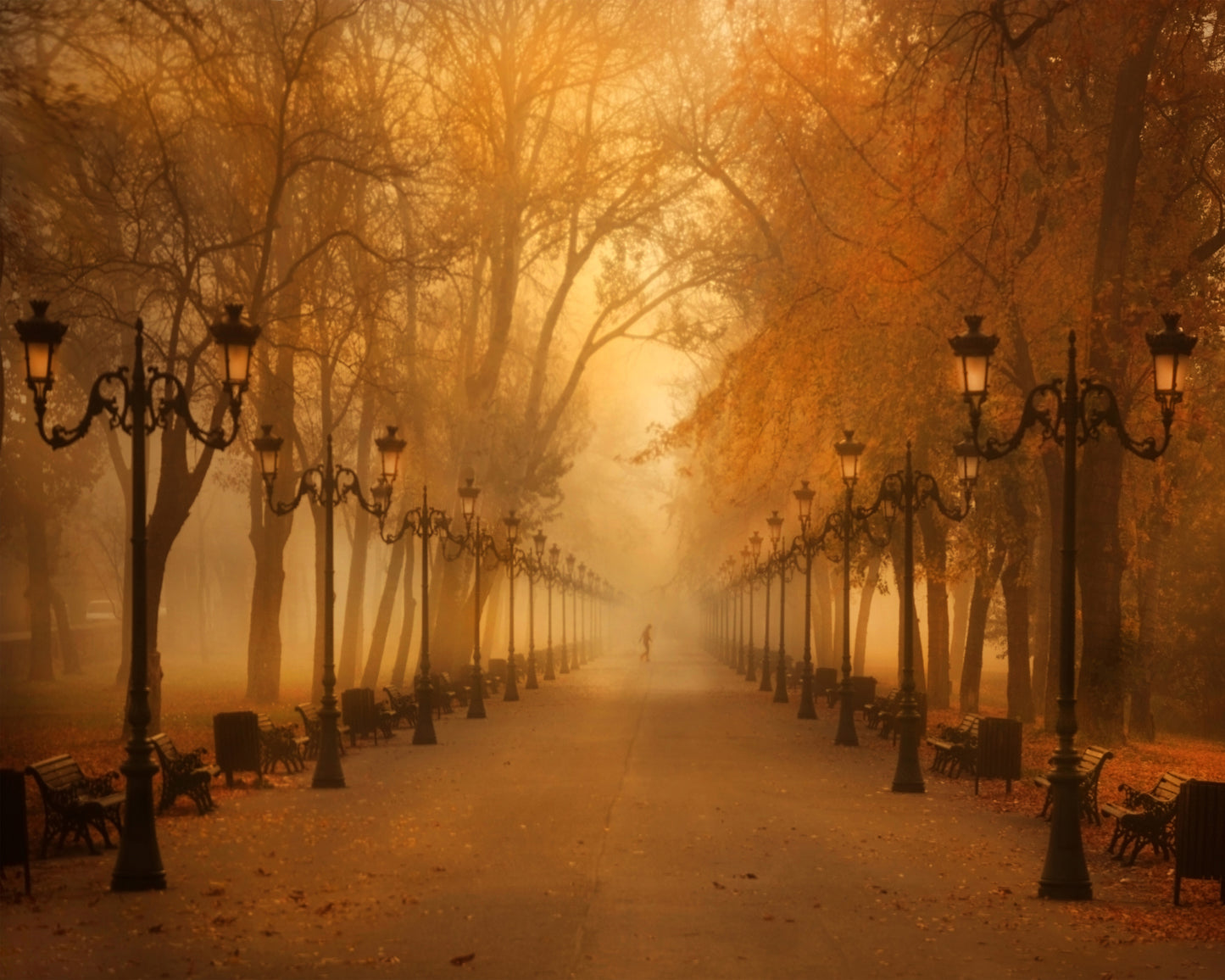 November Morning