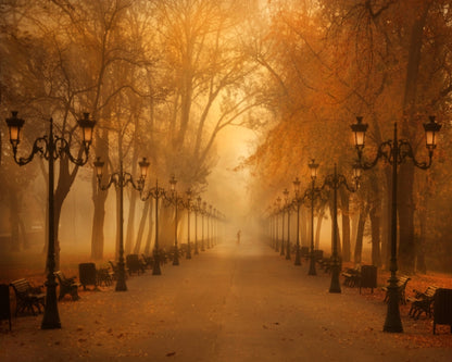 November Morning