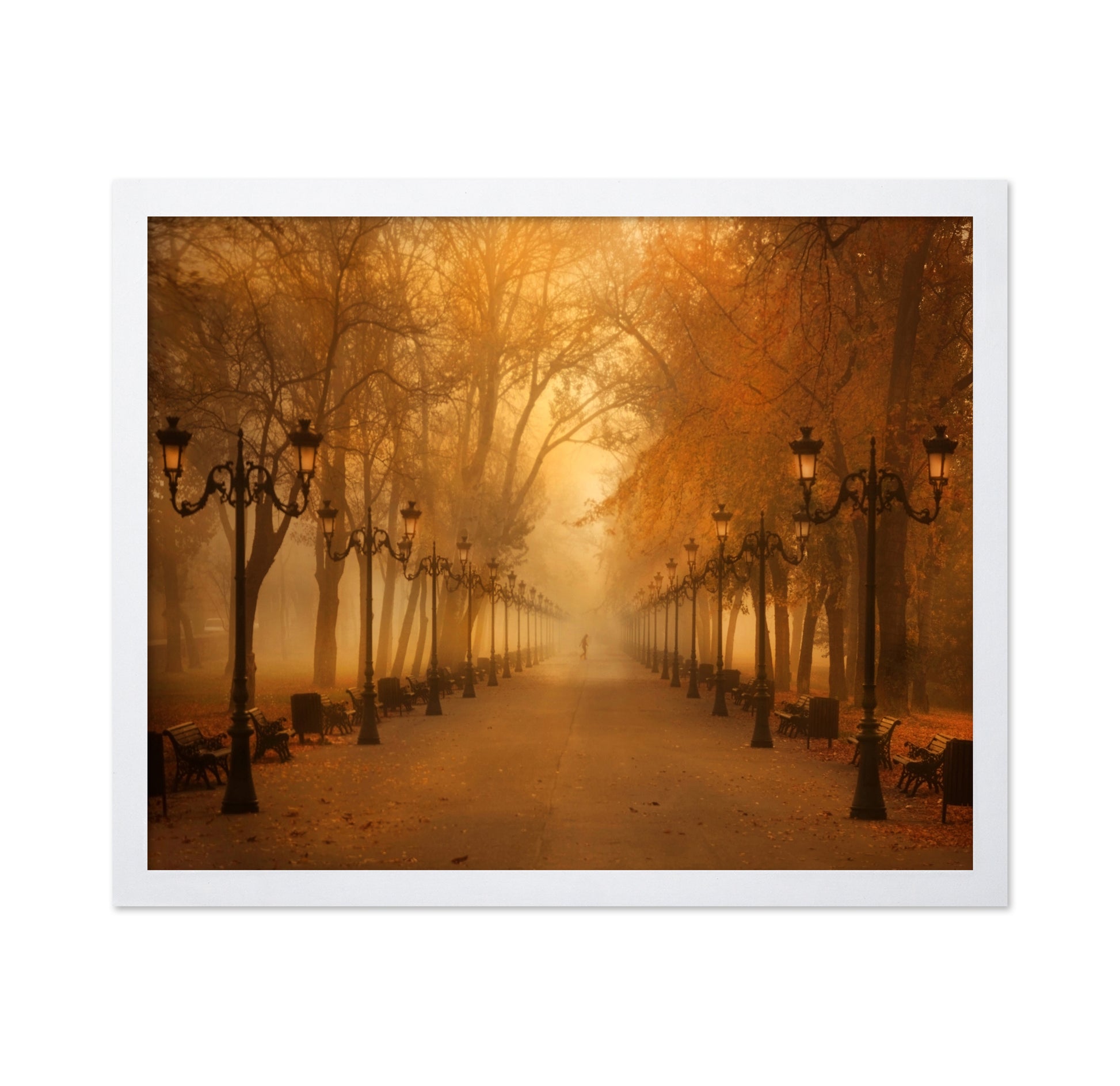 November Morning