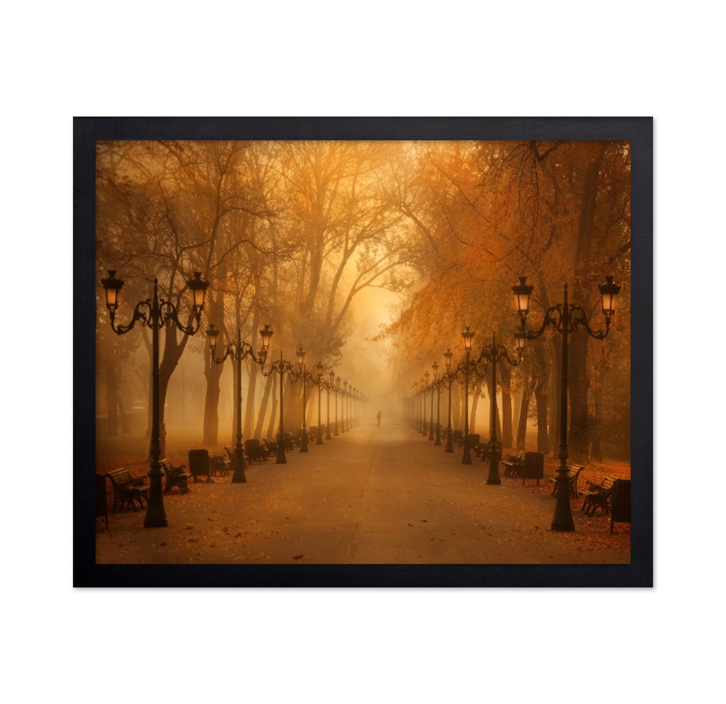 November Morning