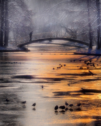 Frozen Lake