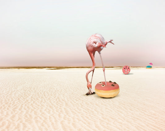 Donutbeach