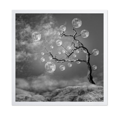The Moon Tree