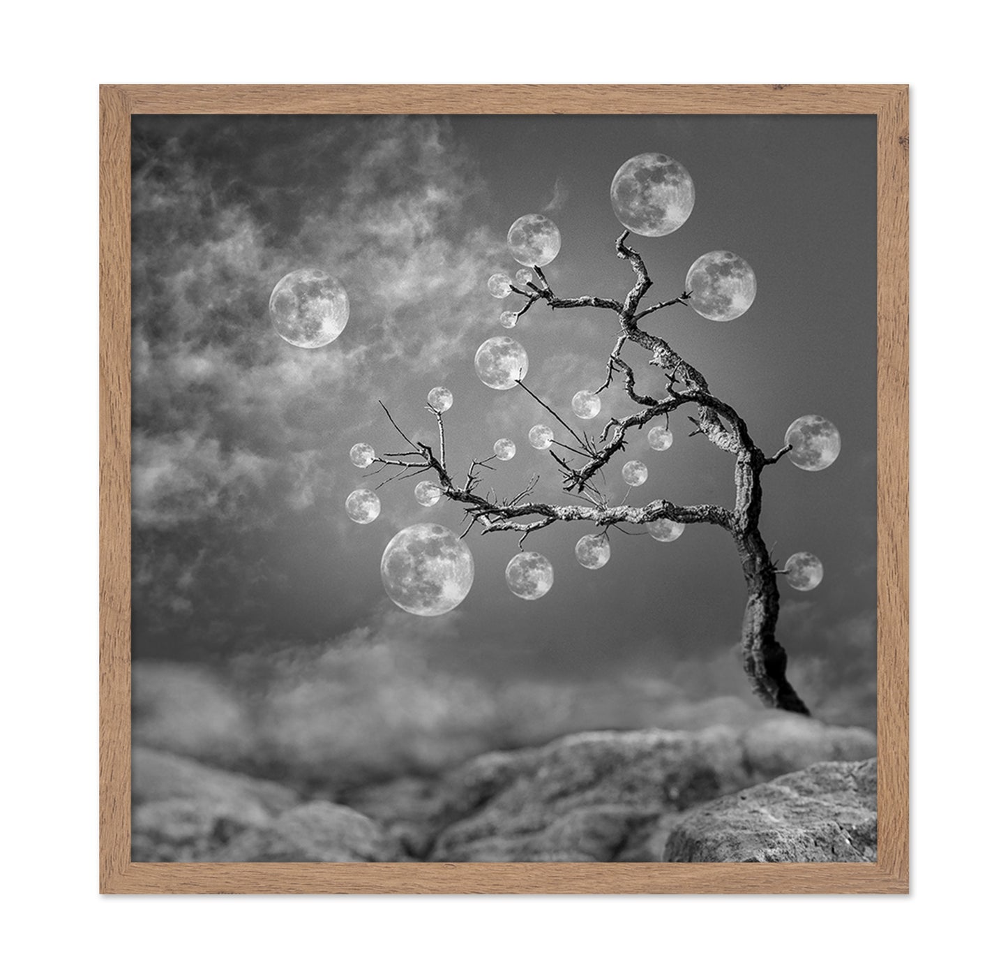 The Moon Tree