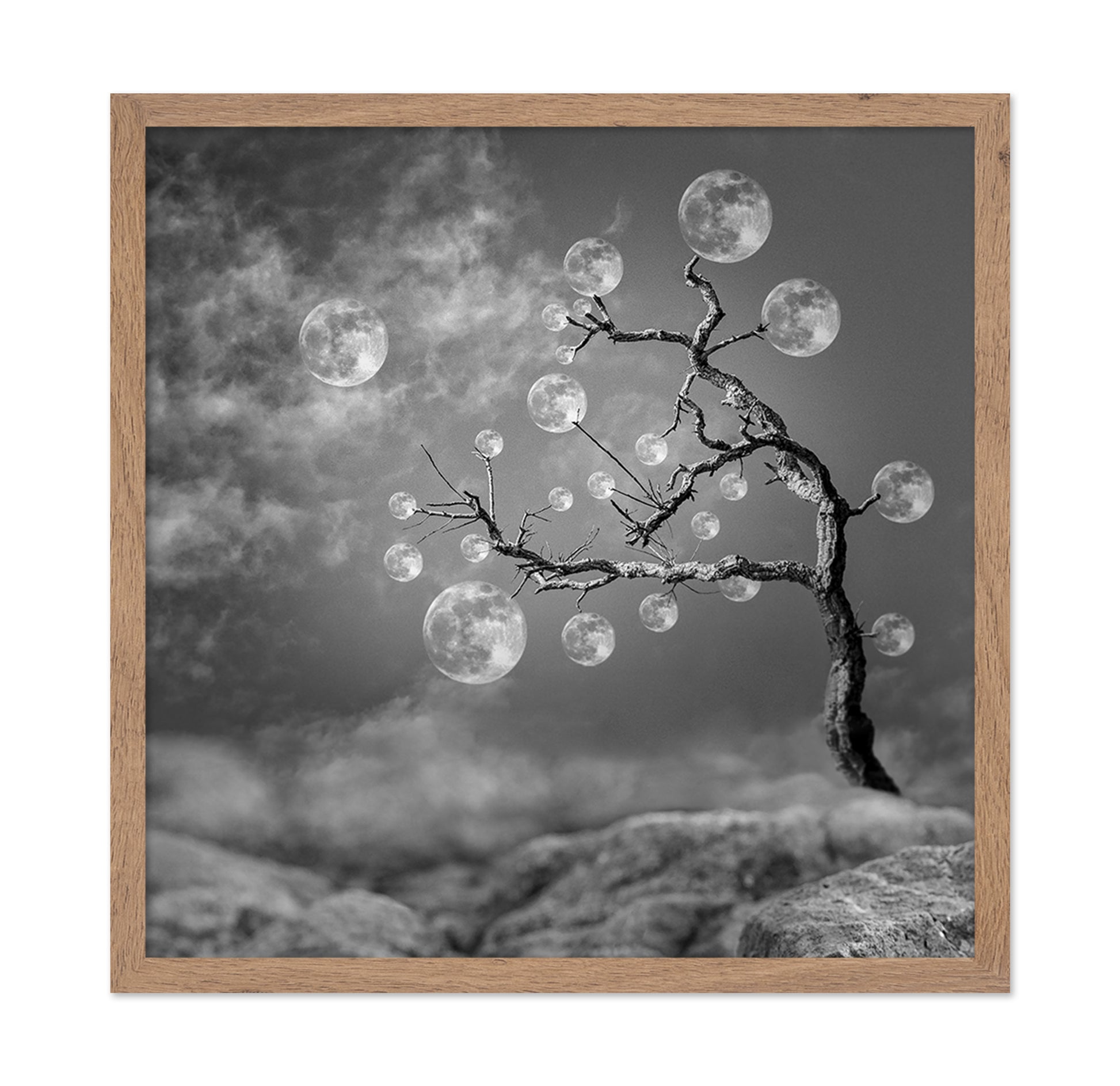 The Moon Tree
