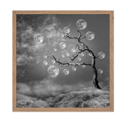 The Moon Tree