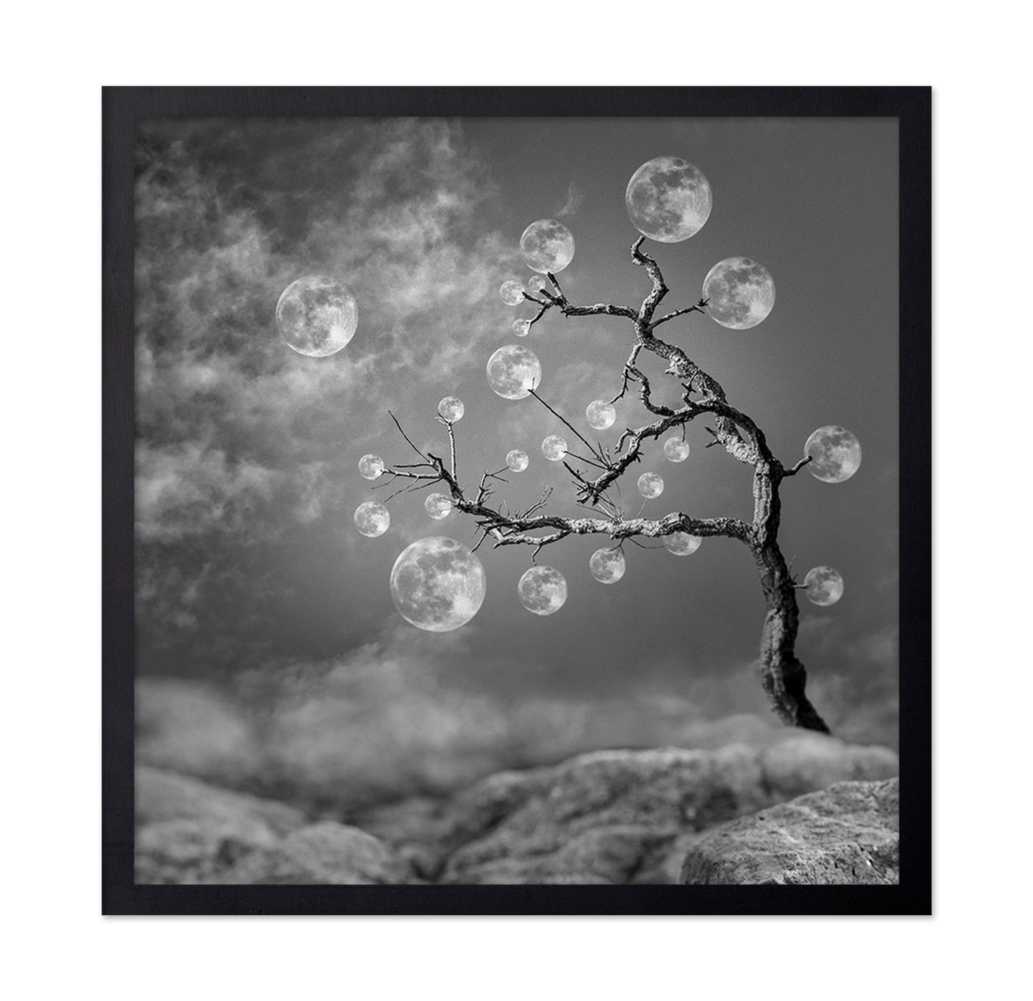 The Moon Tree