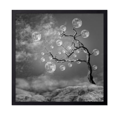The Moon Tree