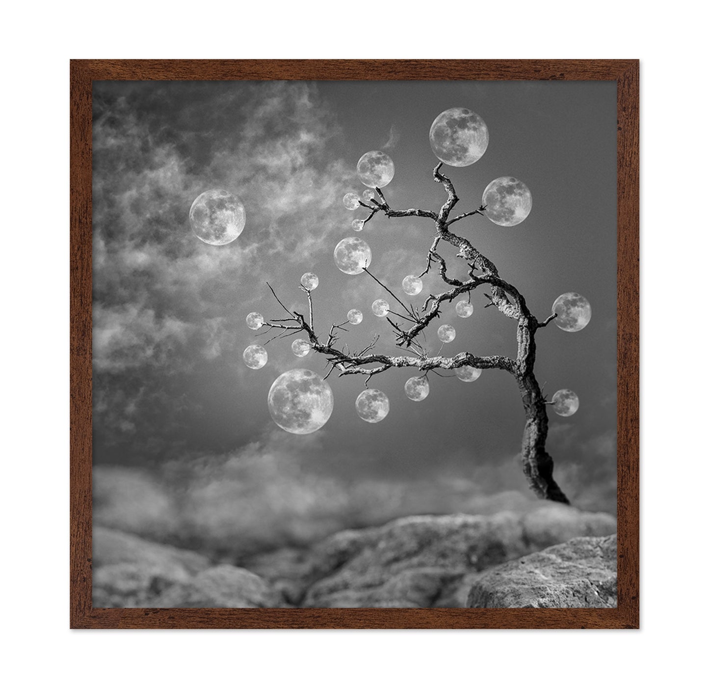 The Moon Tree