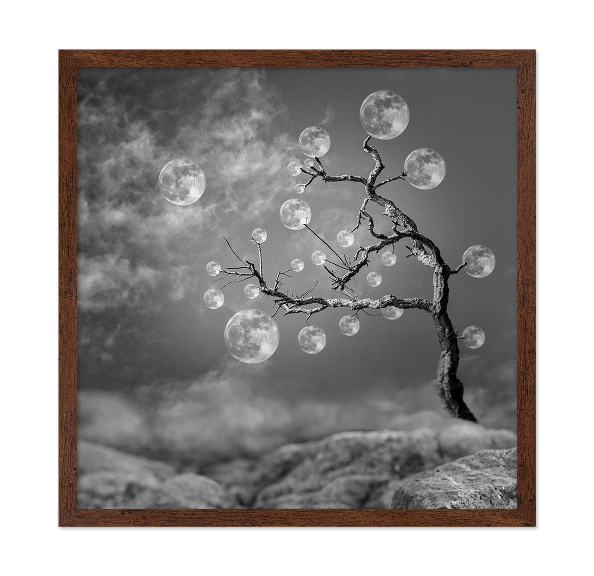 The Moon Tree