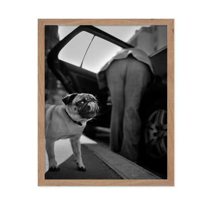 Dog Sees You
