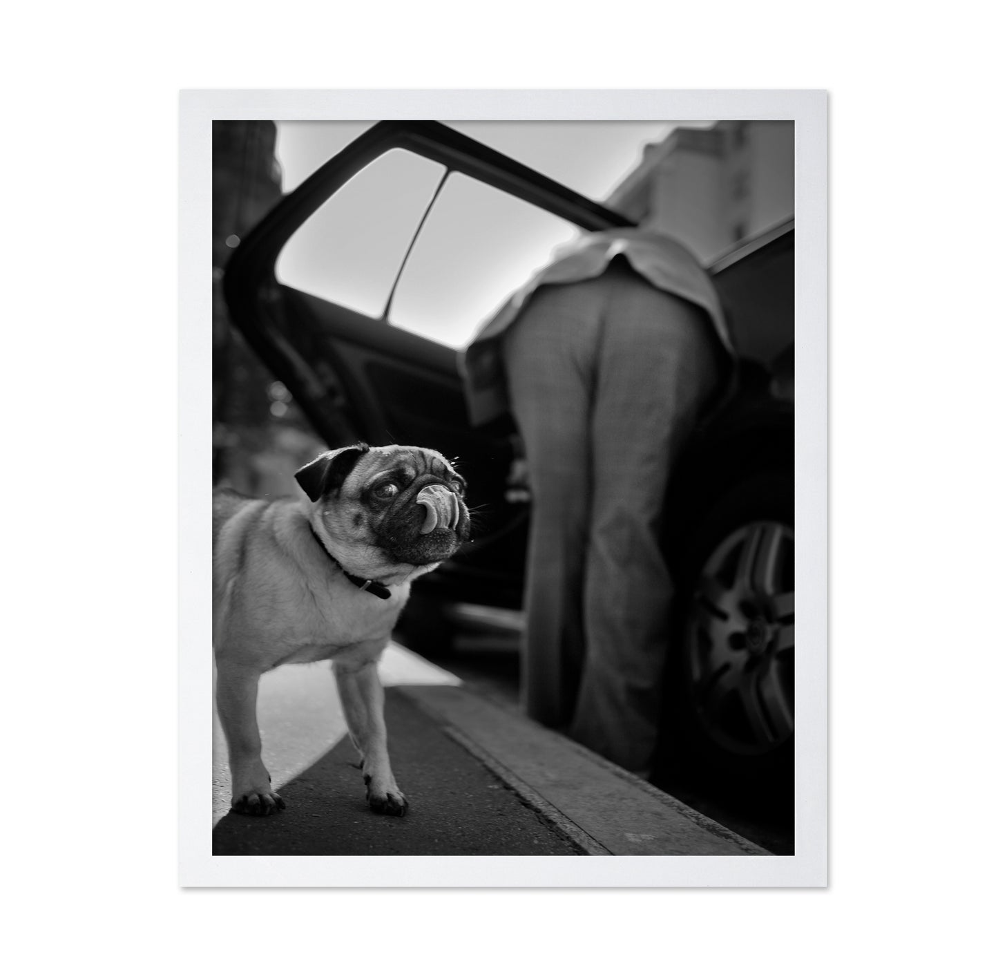 Dog Sees You