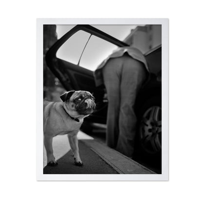 Dog Sees You