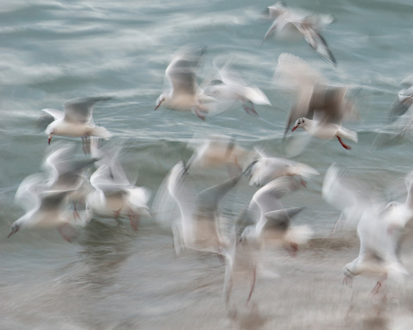 Dancing on the Tide