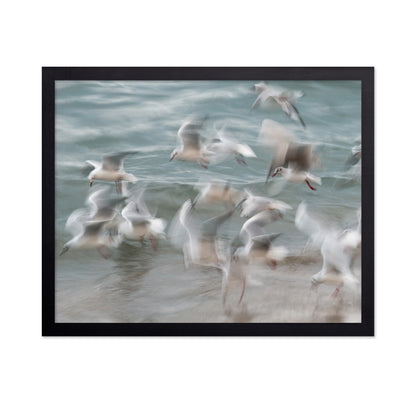 Dancing on the Tide