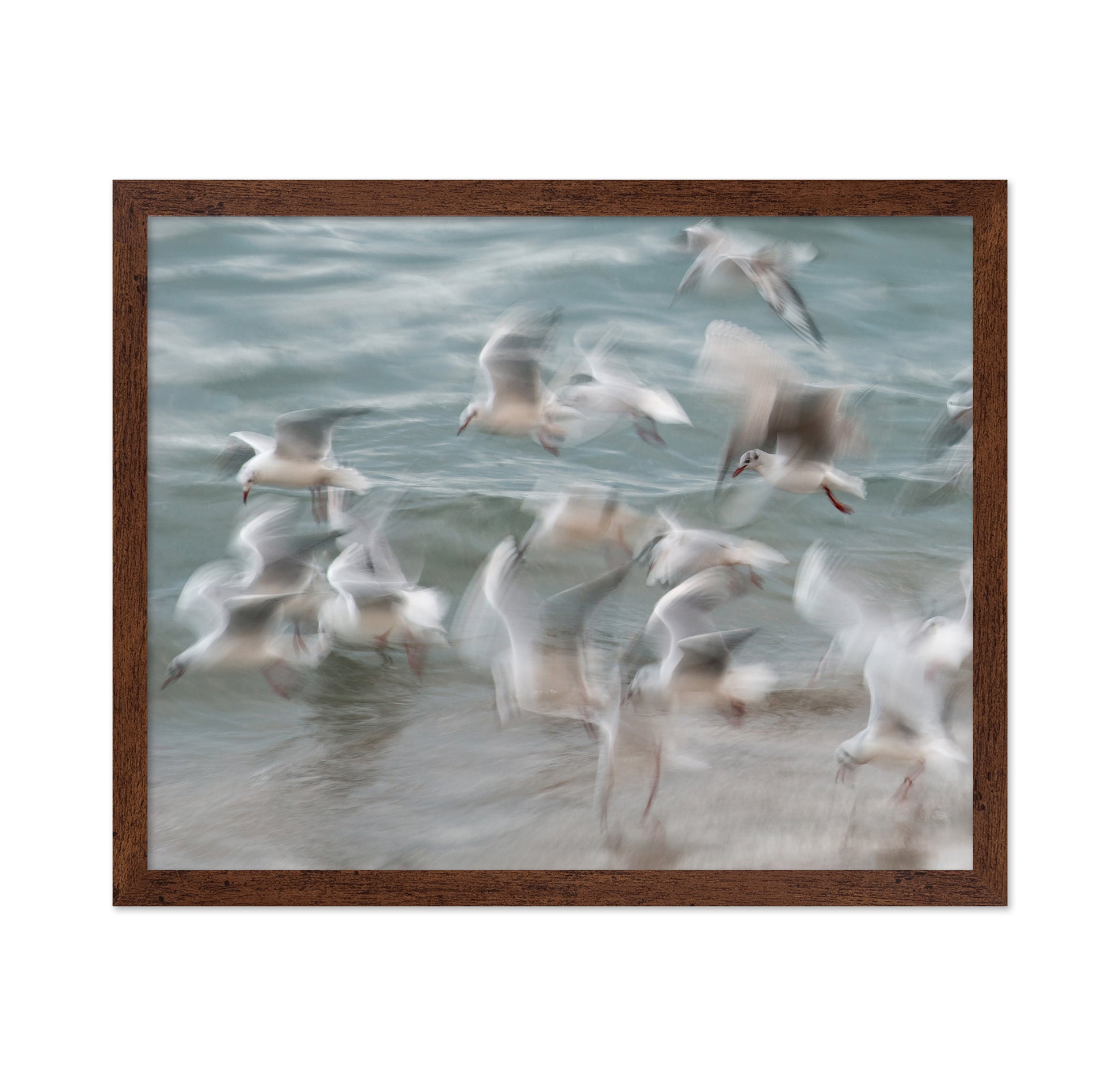 Dancing on the Tide
