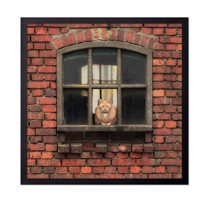 Cat Sitting in a Brick Window