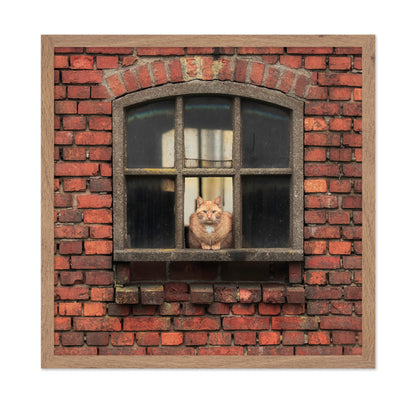 Cat Sitting in a Brick Window