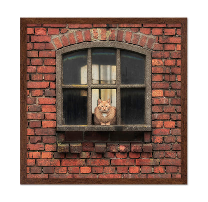 Cat Sitting in a Brick Window
