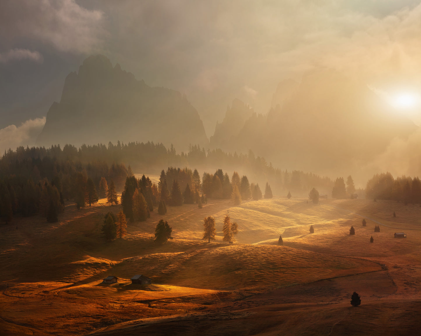 Morning On Alpine Meadow