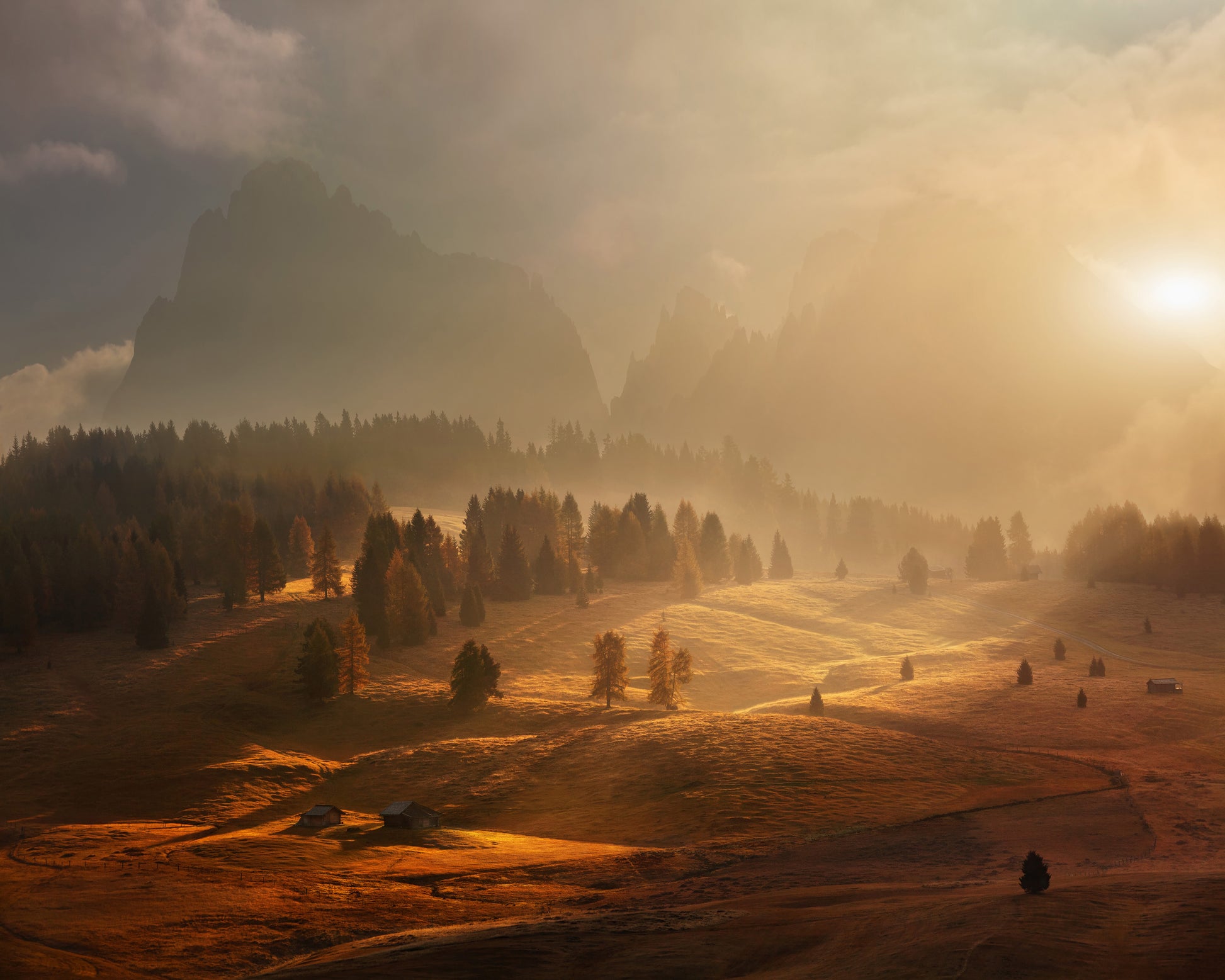 Morning On Alpine Meadow