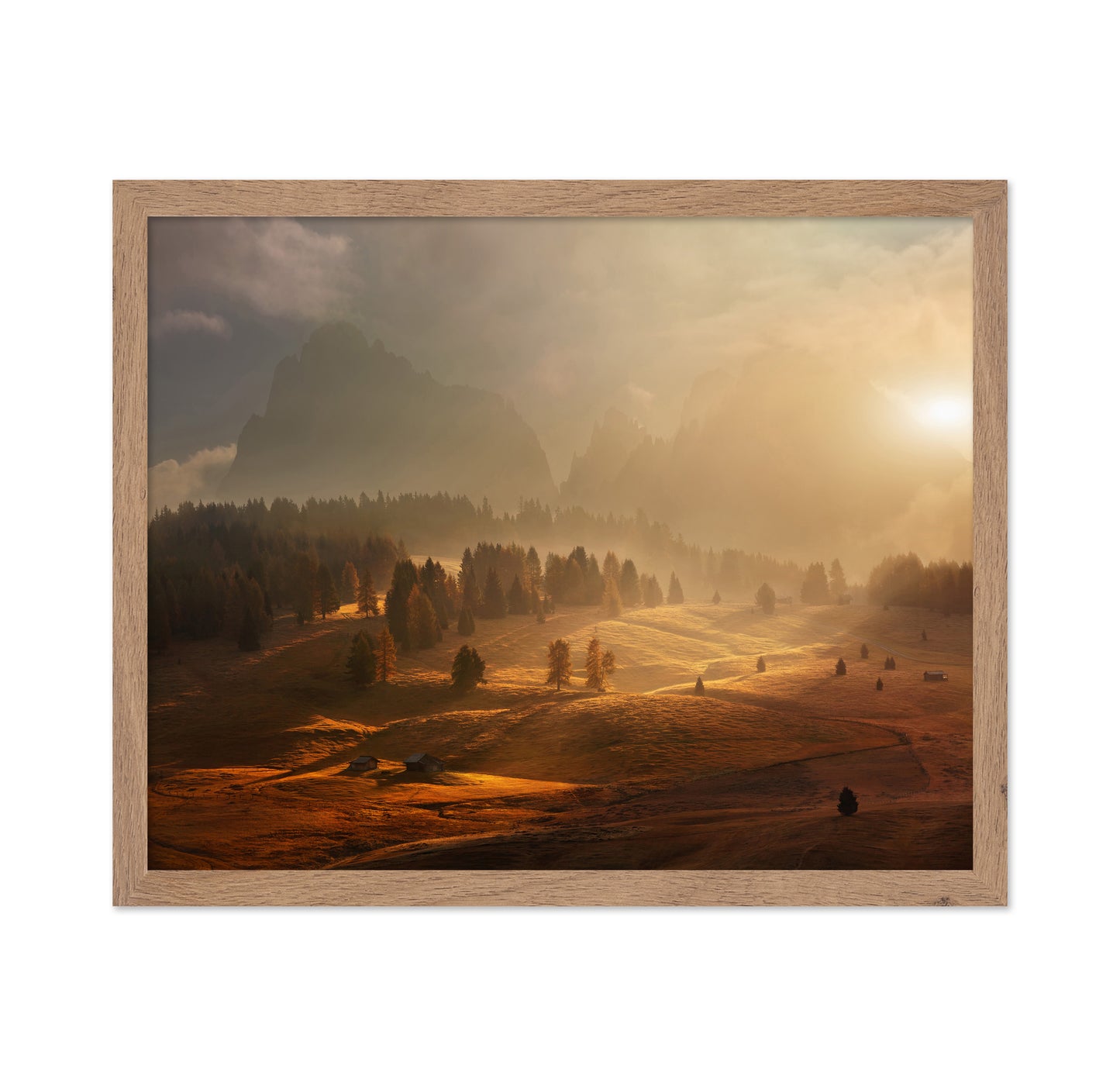 Morning On Alpine Meadow