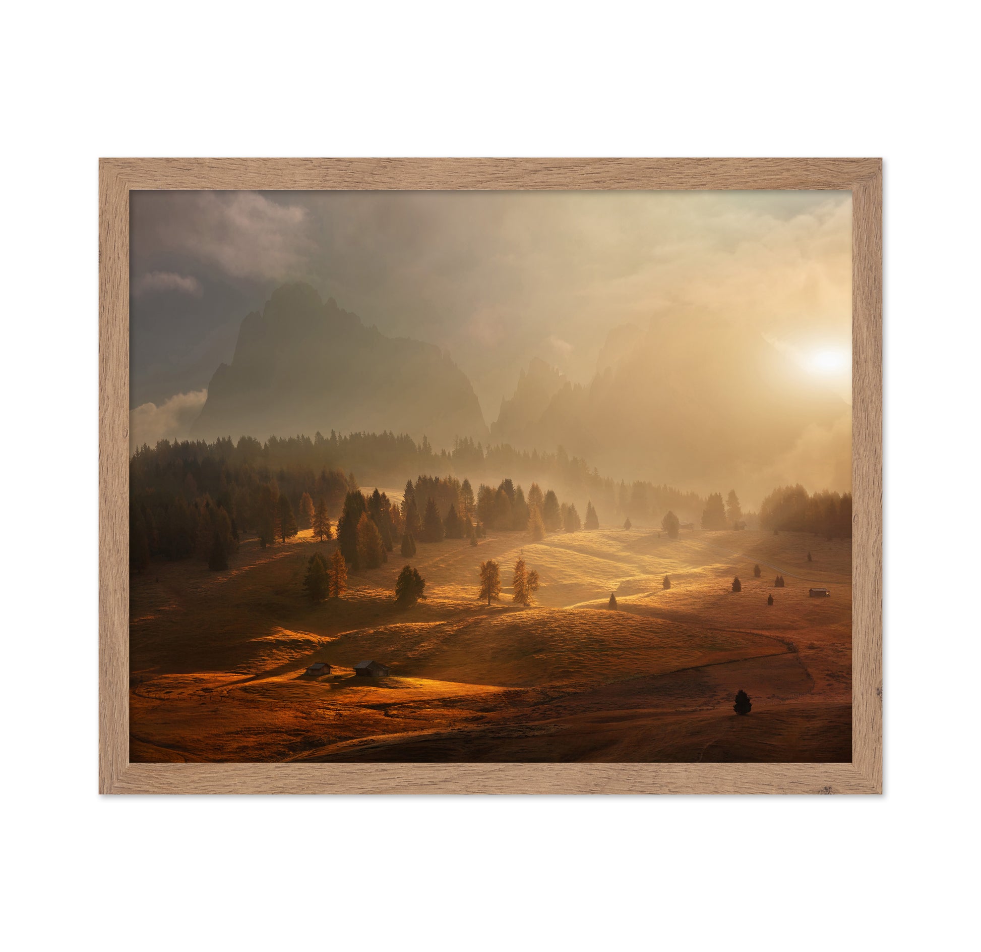 Morning On Alpine Meadow