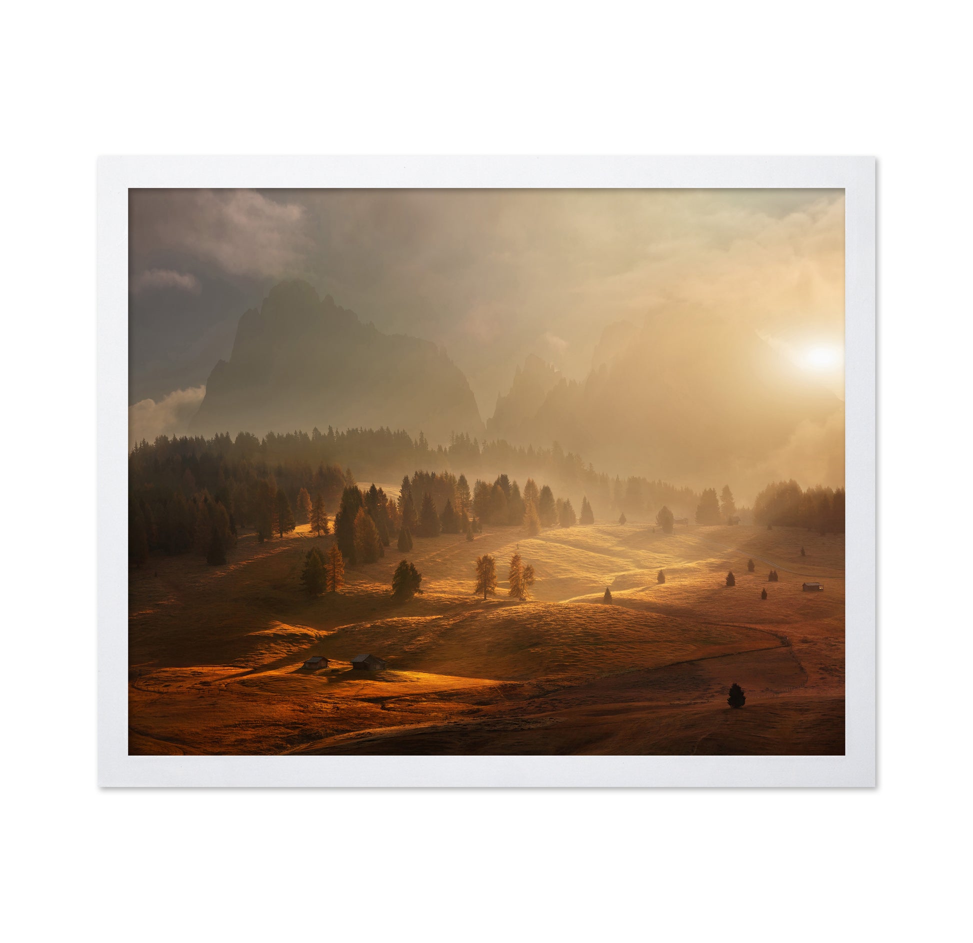 Morning On Alpine Meadow
