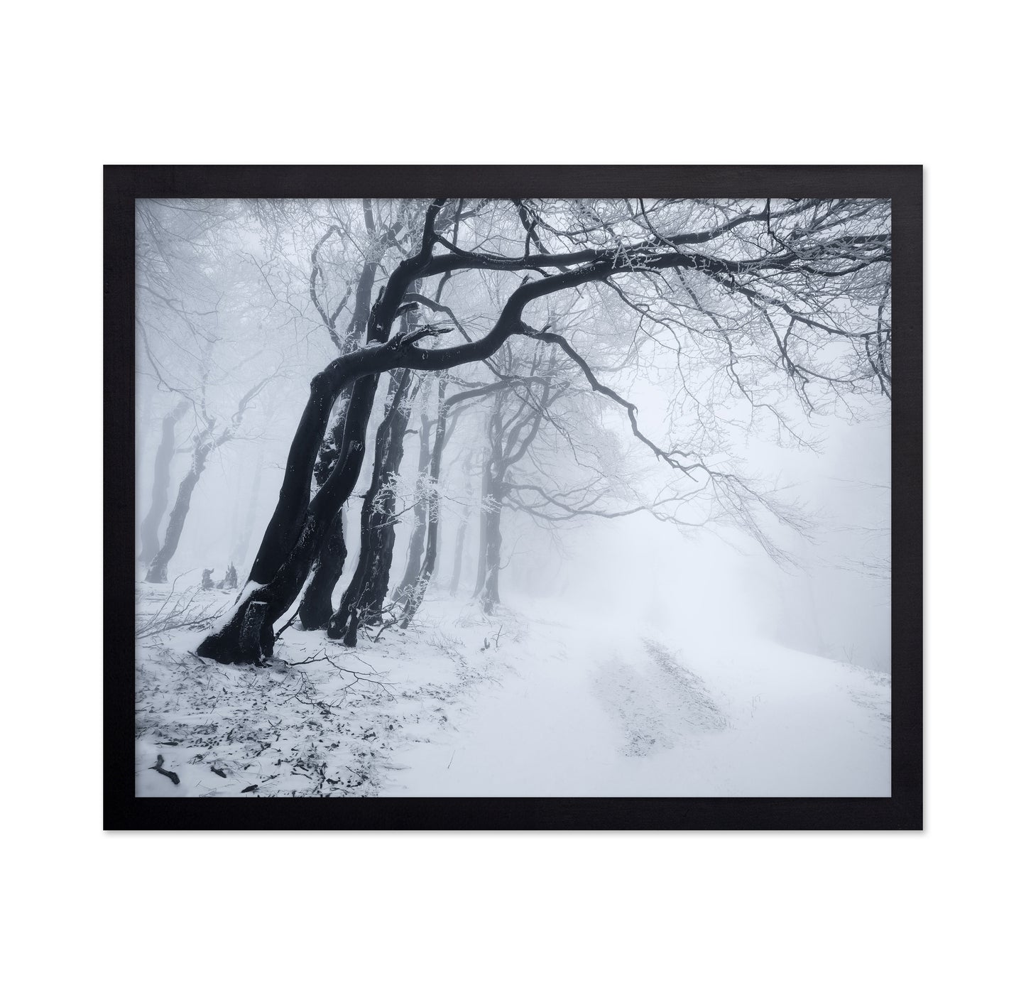 In The Winter Forest