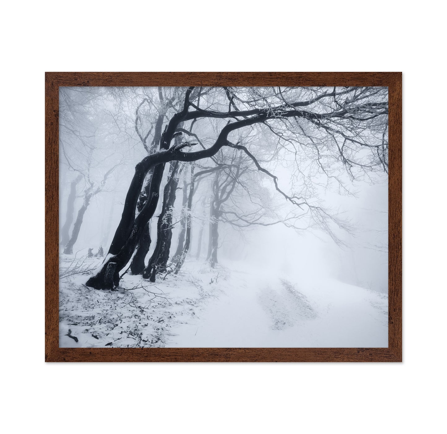 In The Winter Forest