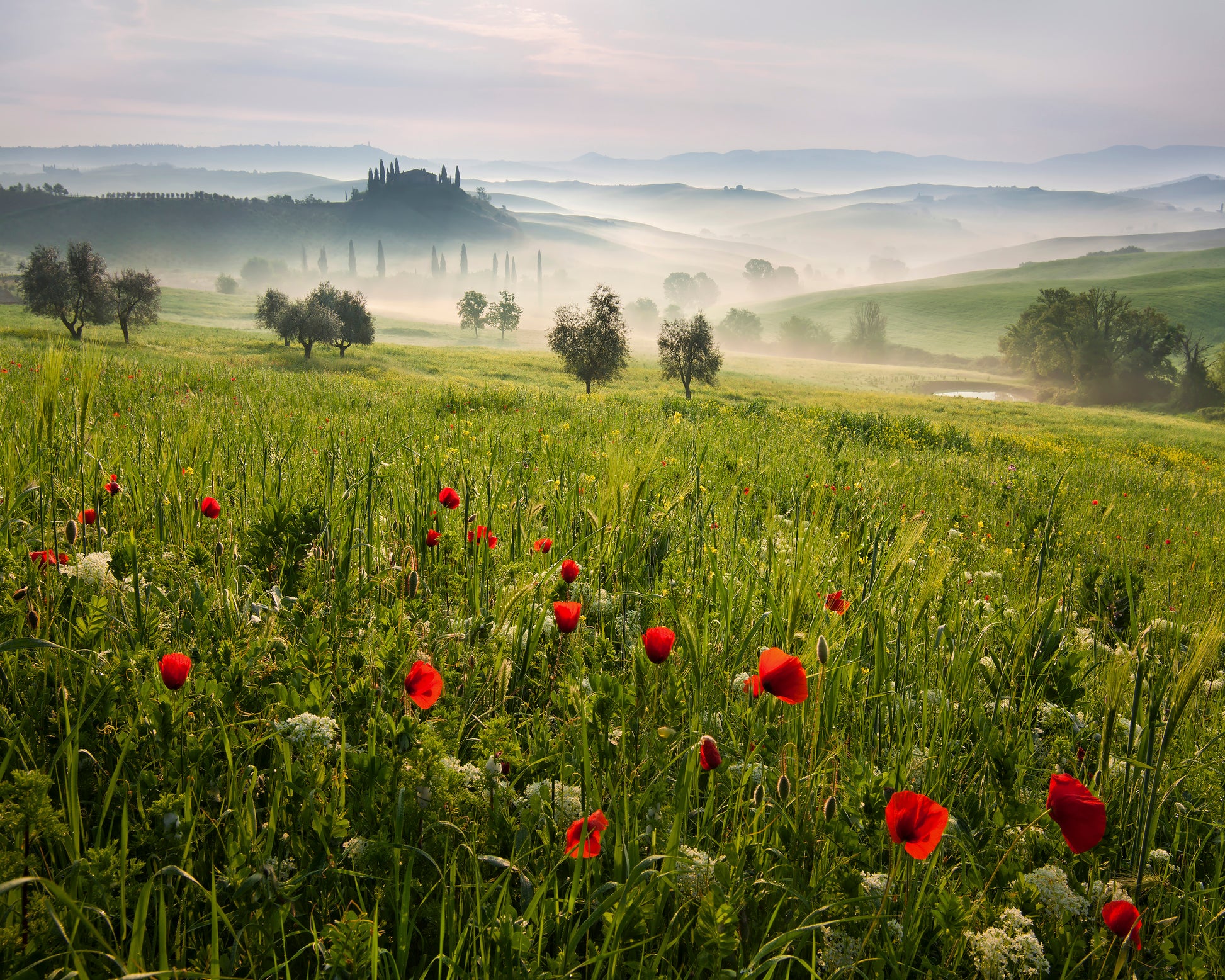 Tuscan Spring