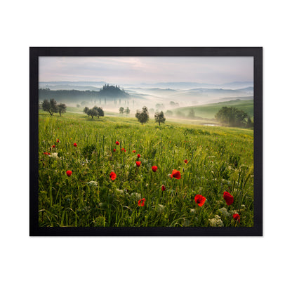 Tuscan Spring
