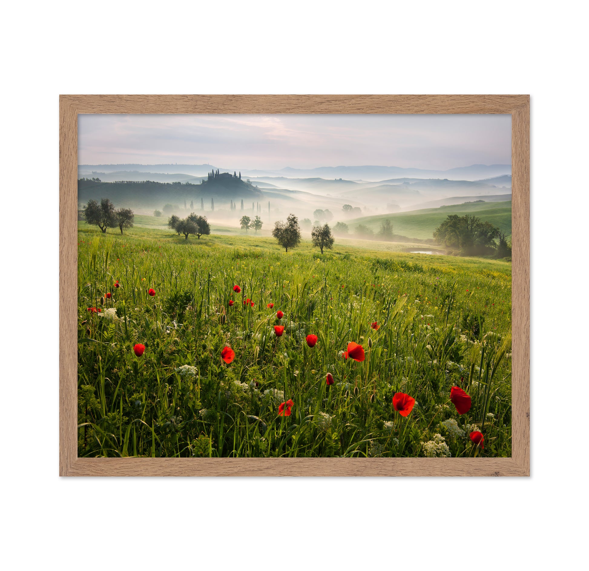 Tuscan Spring