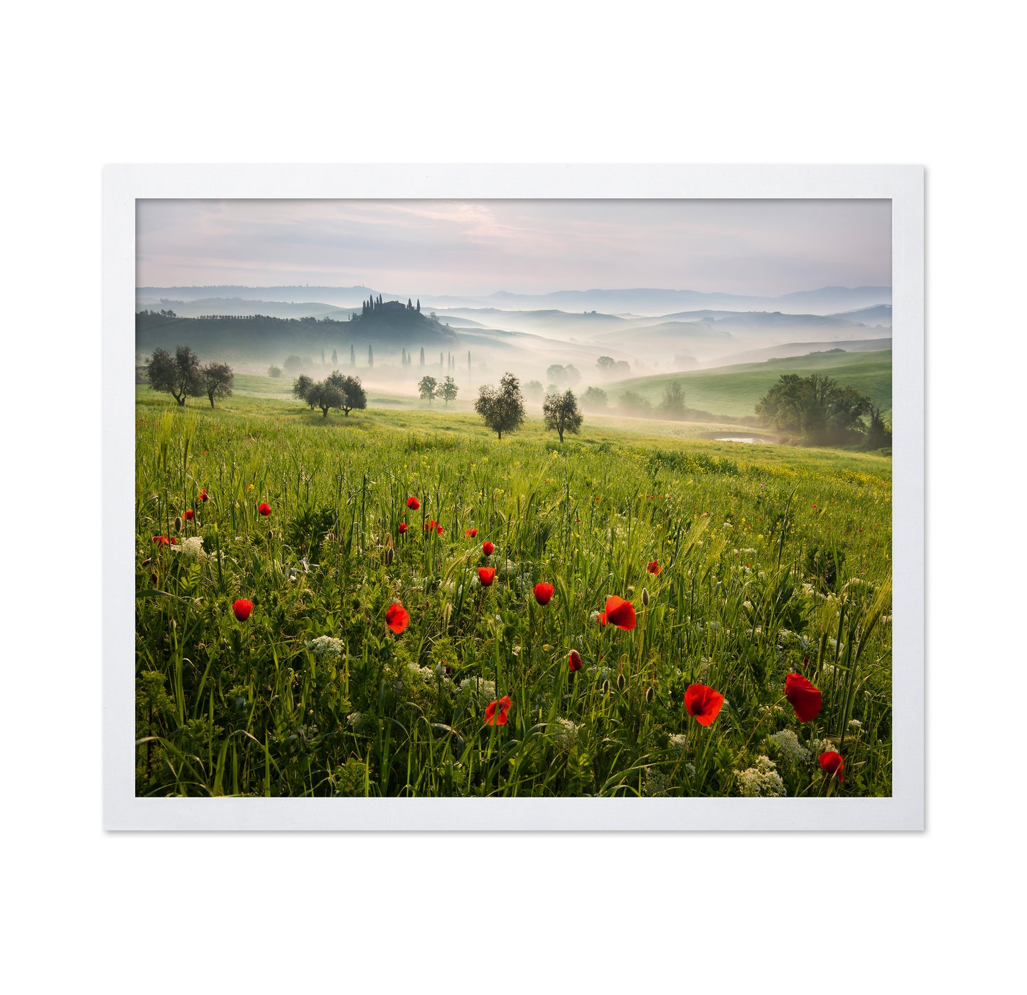 Tuscan Spring