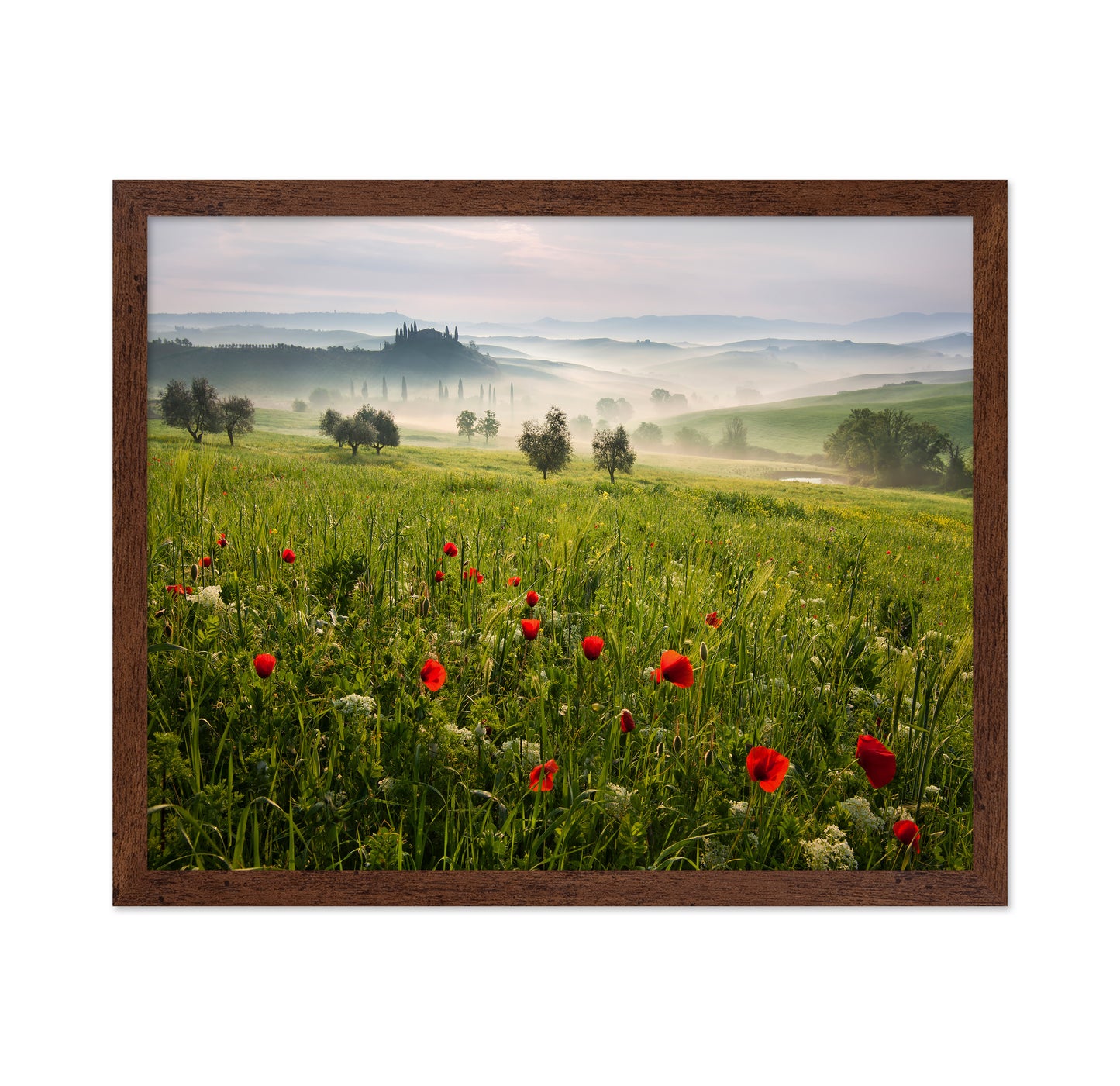 Tuscan Spring