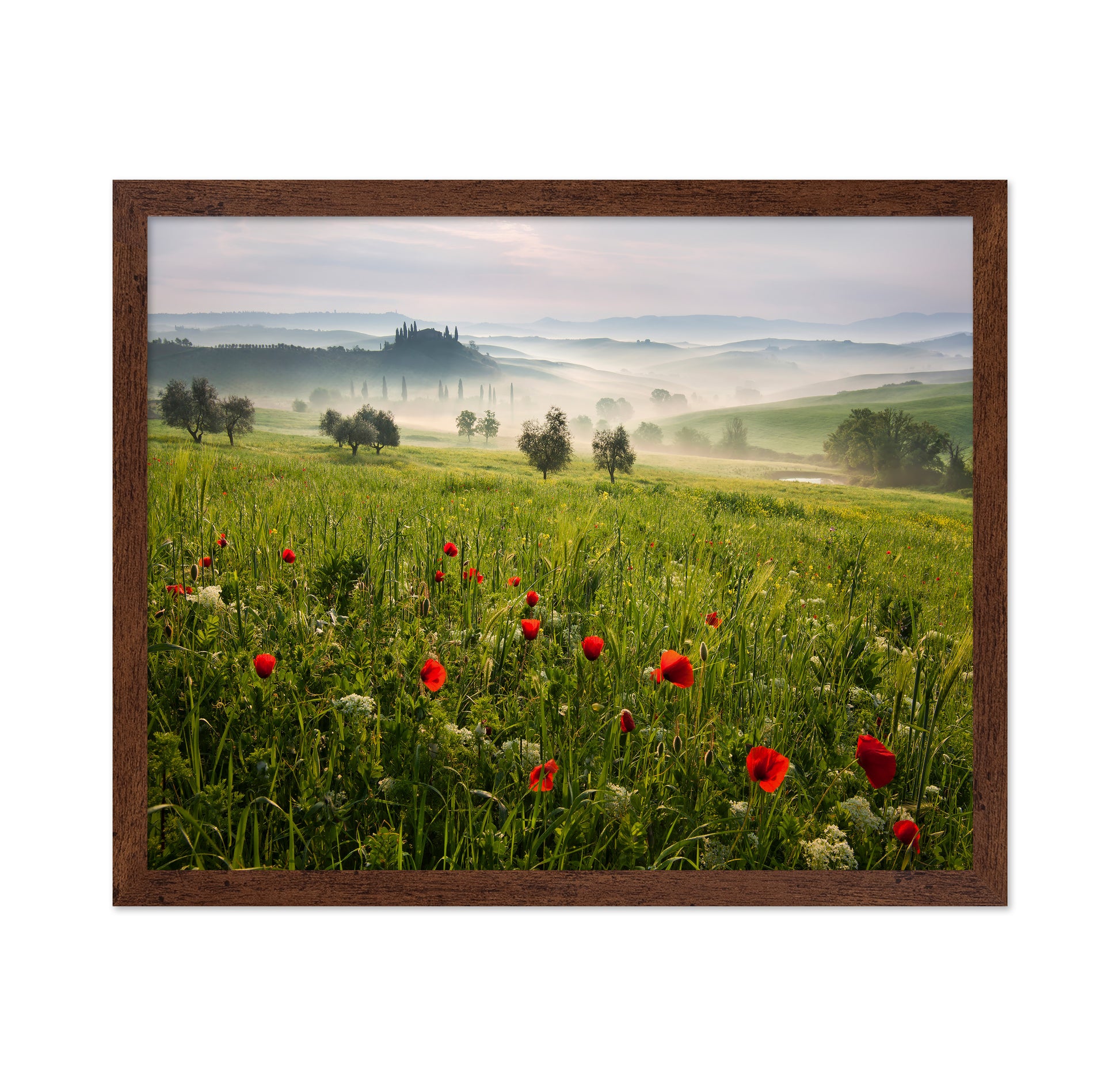 Tuscan Spring
