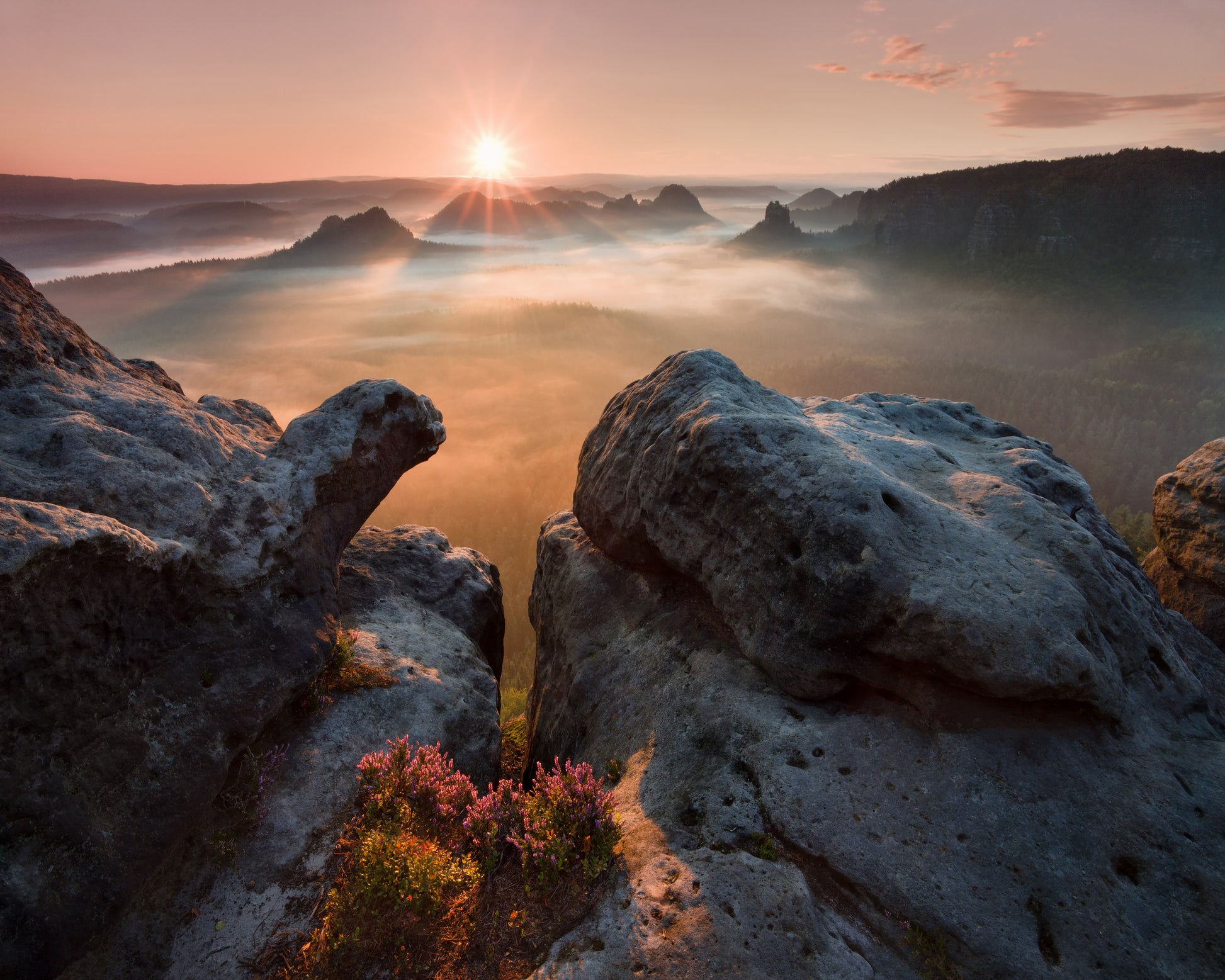 Above the Sea of Fog