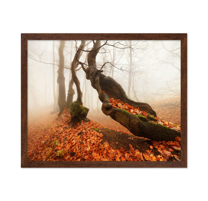 The Mystery in the Autumn Forest