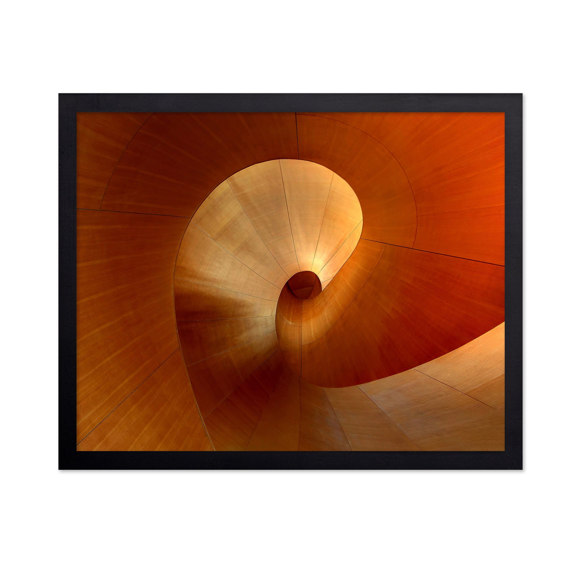 The Curve