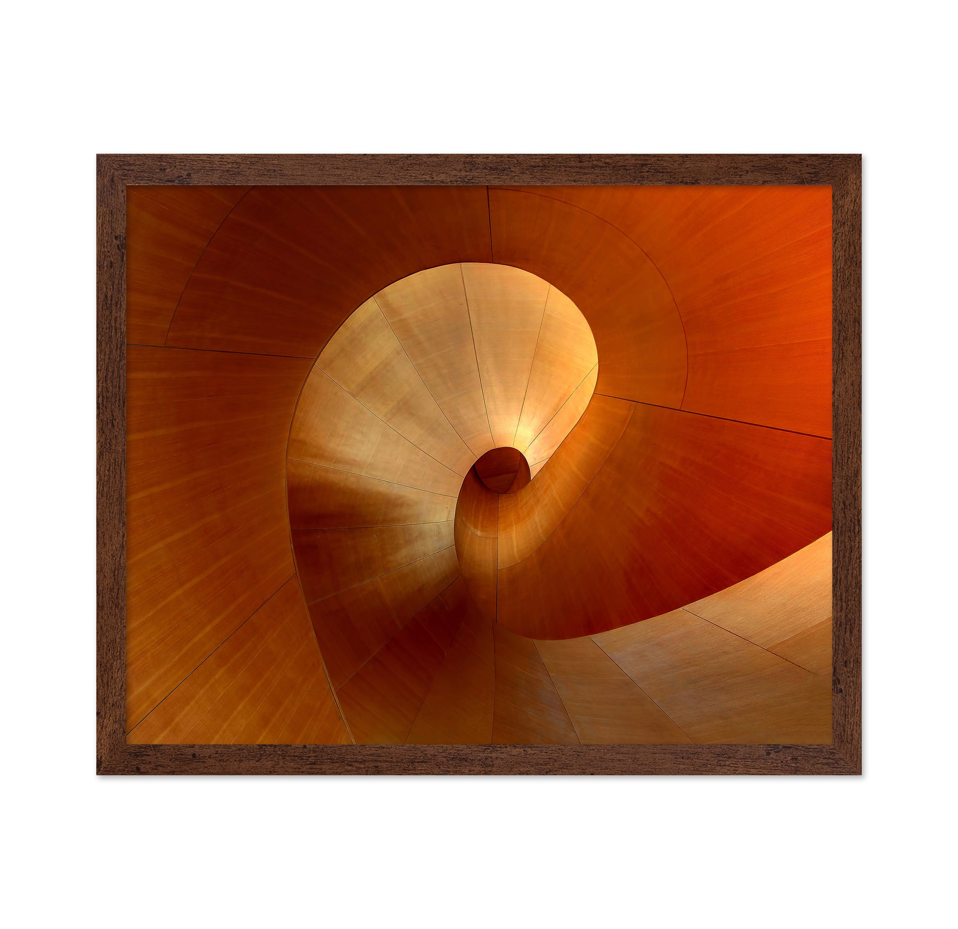 The Curve