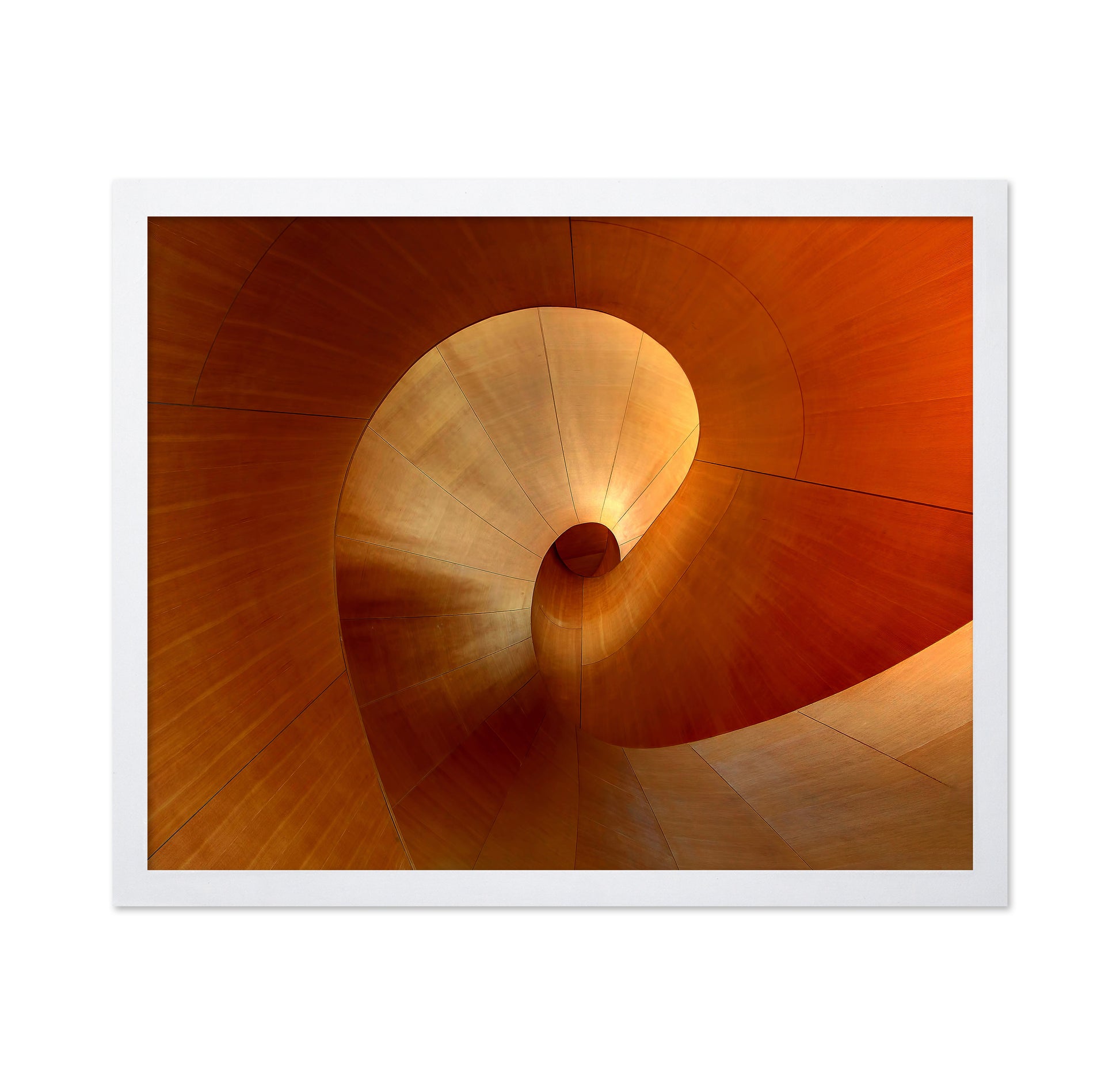The Curve