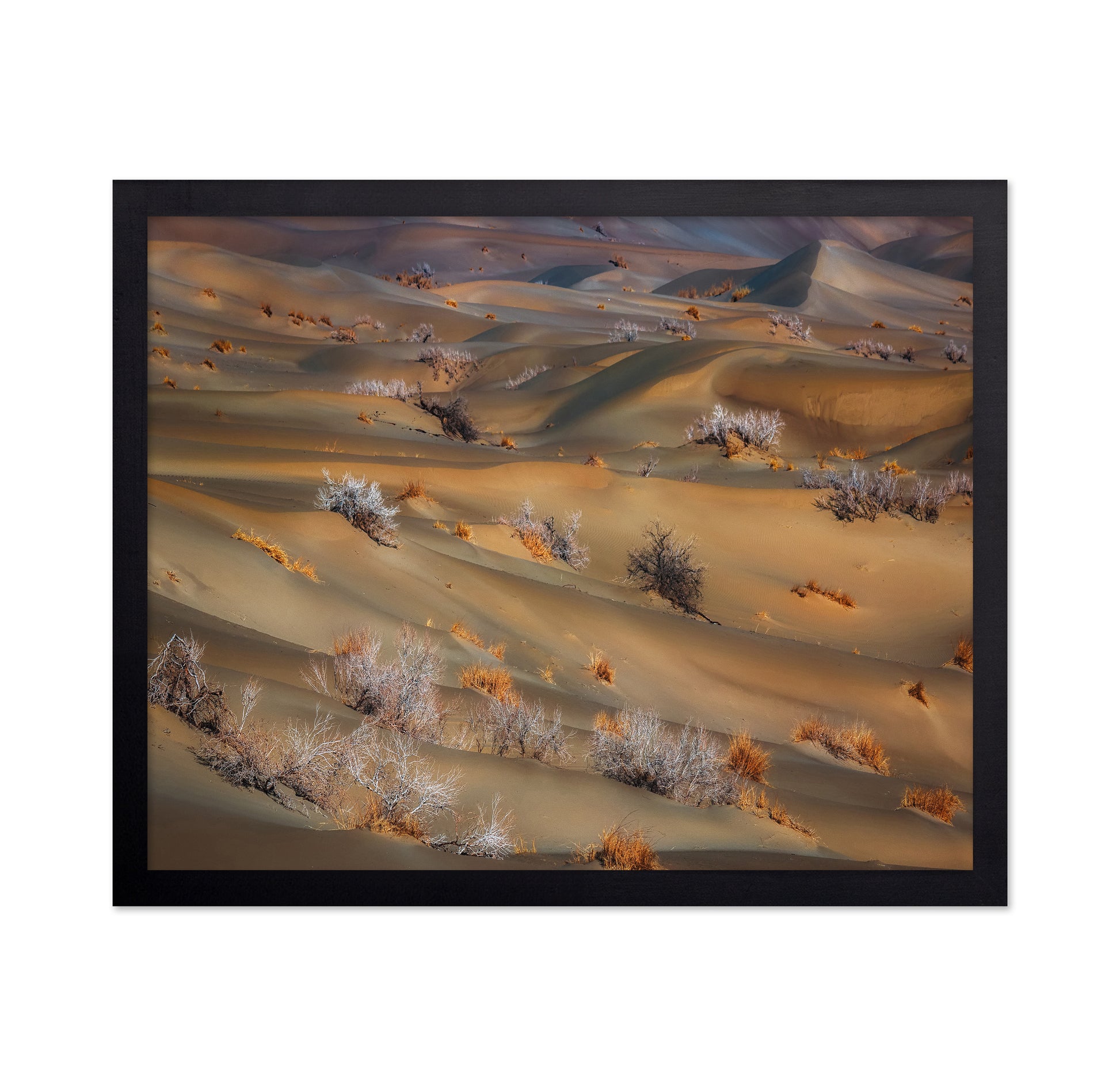 Coppice In Desert
