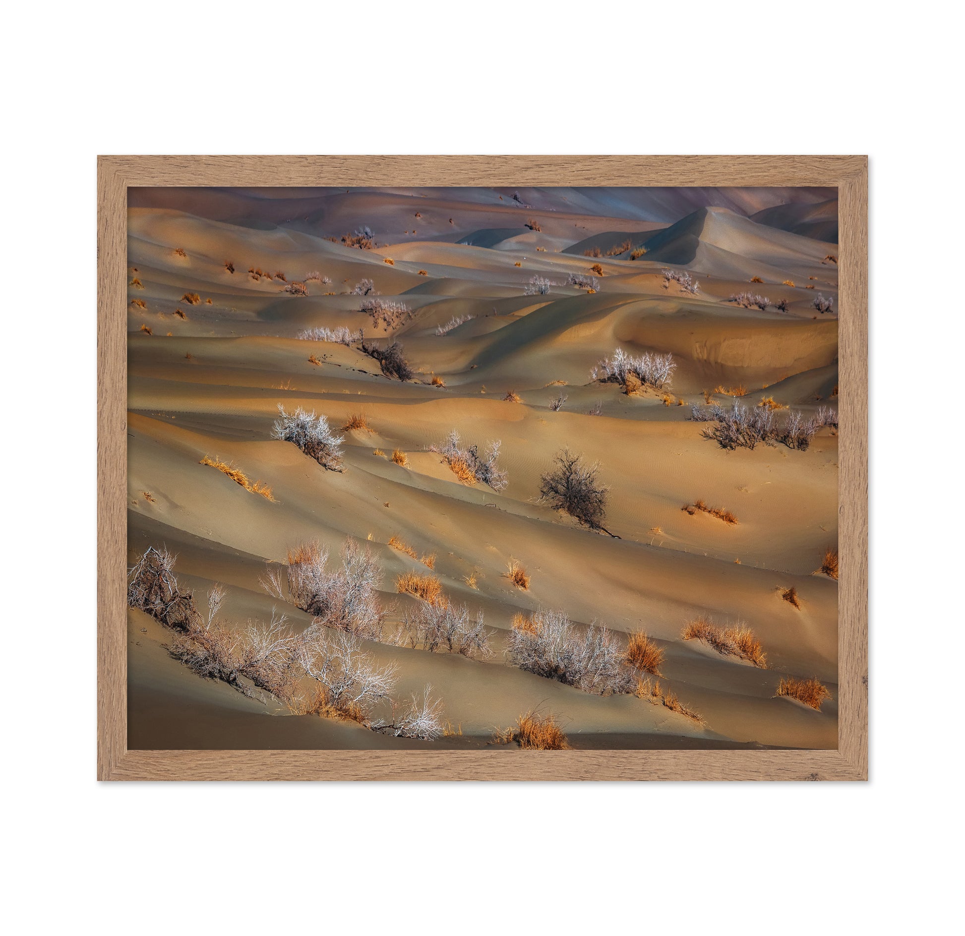 Coppice In Desert
