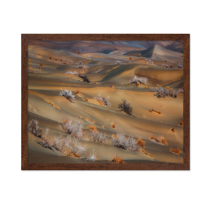 Coppice In Desert