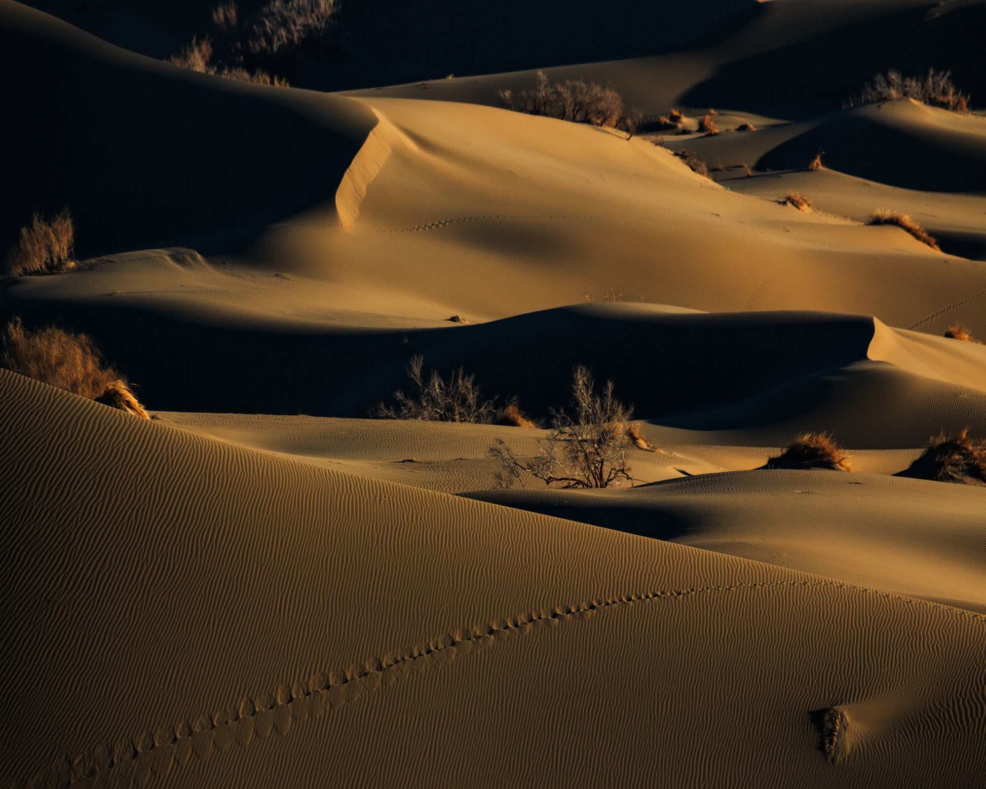 Footprints