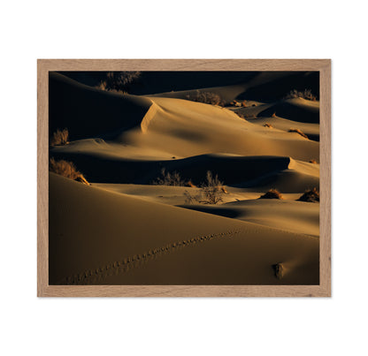 Footprints