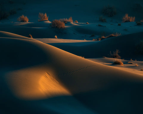 Footprints No 2