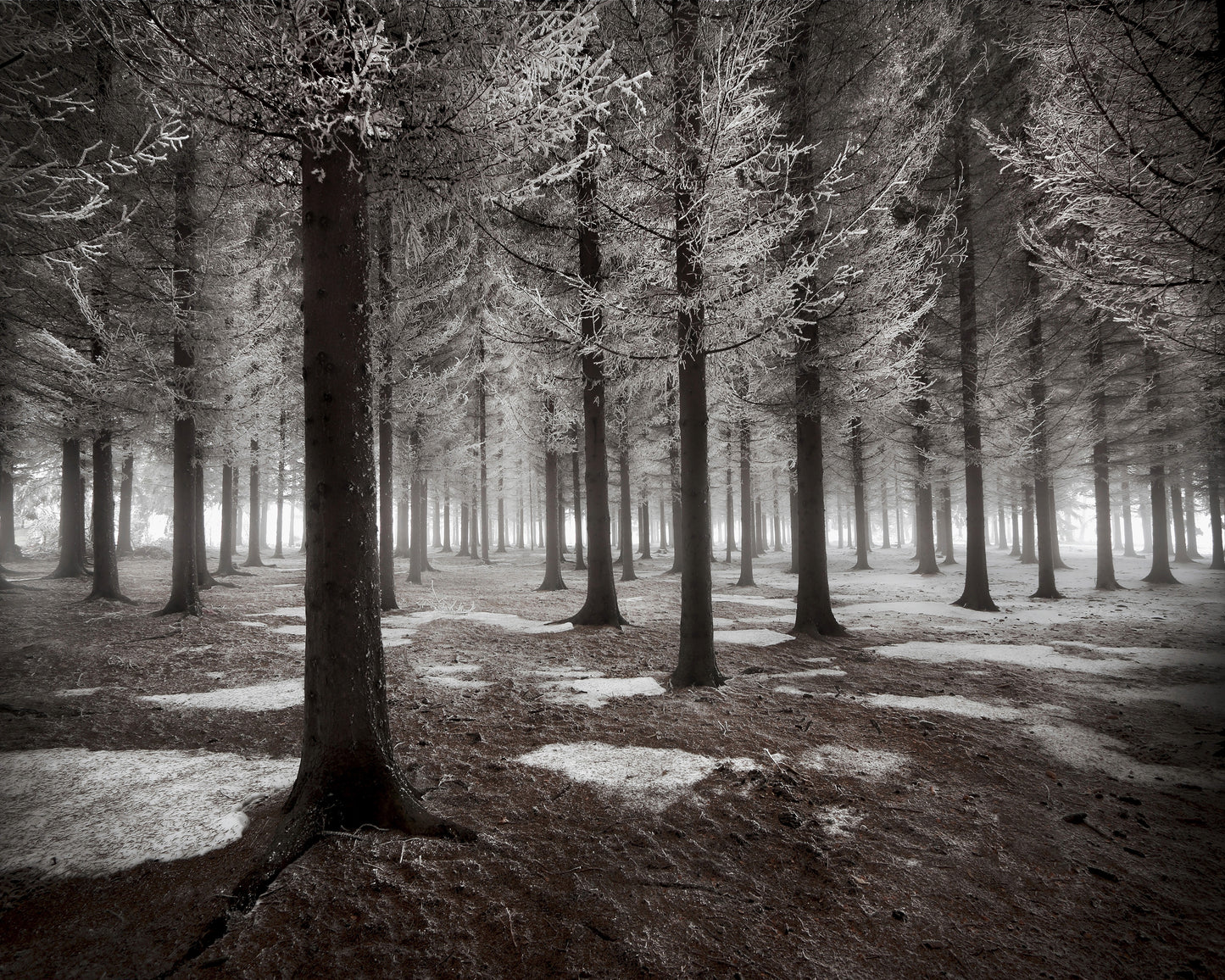 The Onset Of Winter
