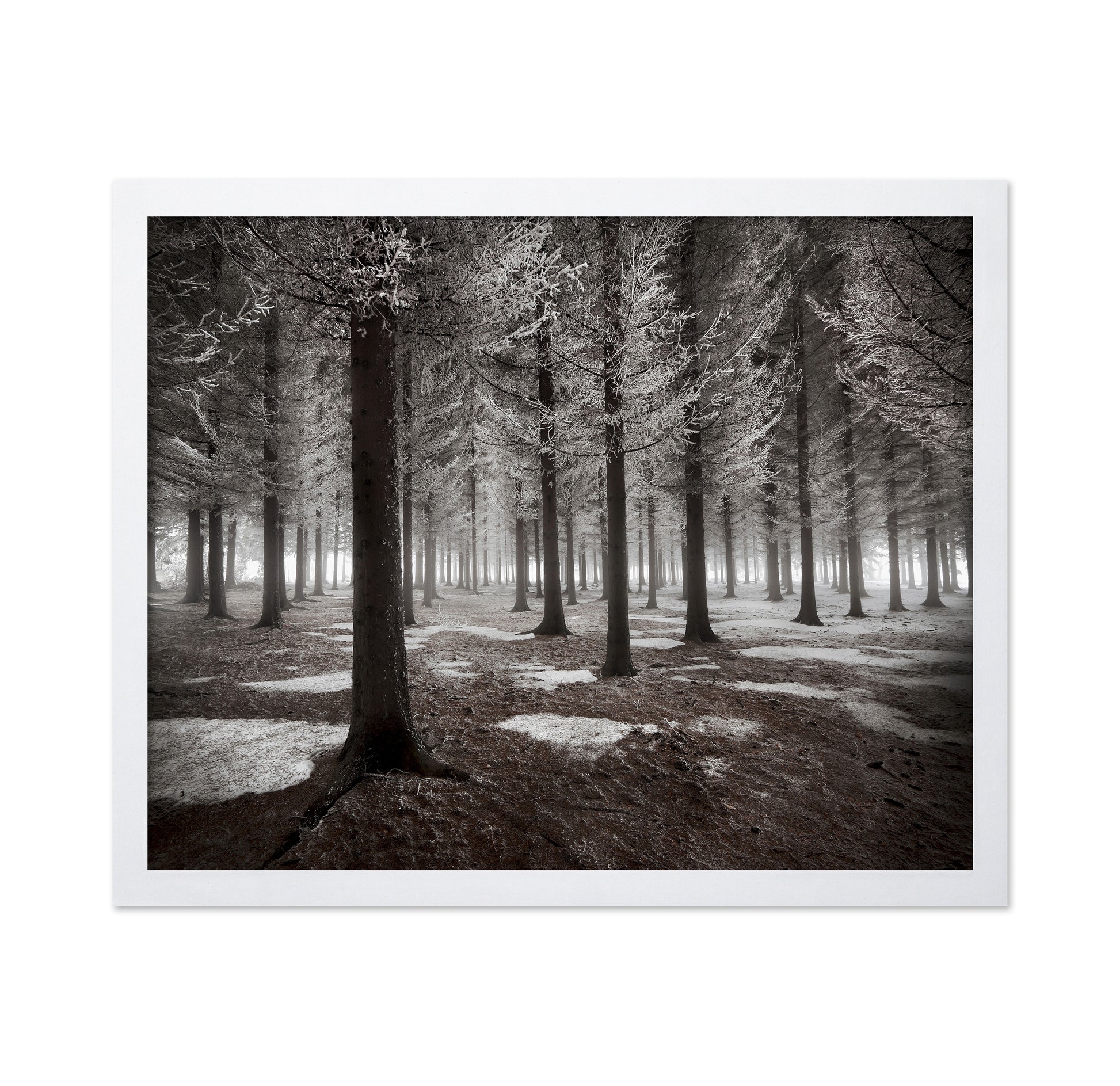 The Onset Of Winter